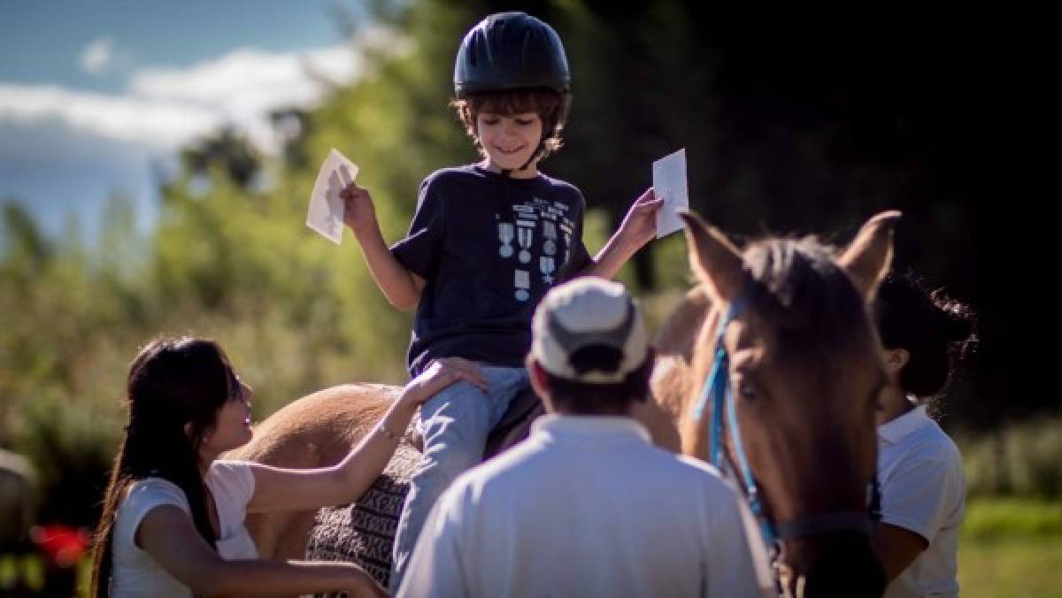 Horses that heal: equine therapy, an alternative treatment