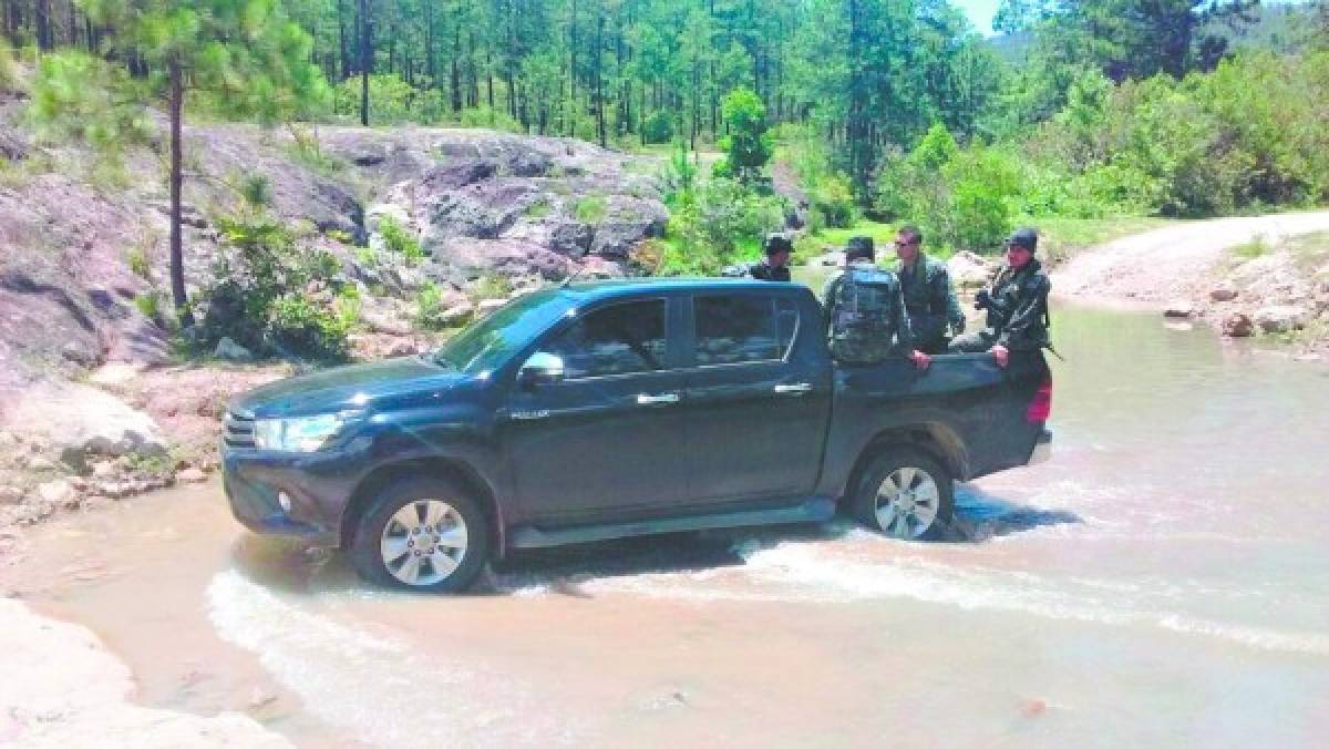 En las zonas montañosas se han iniciado patrullajes de efectivos del ejército con el objetivo de frenar los delitos forestales.