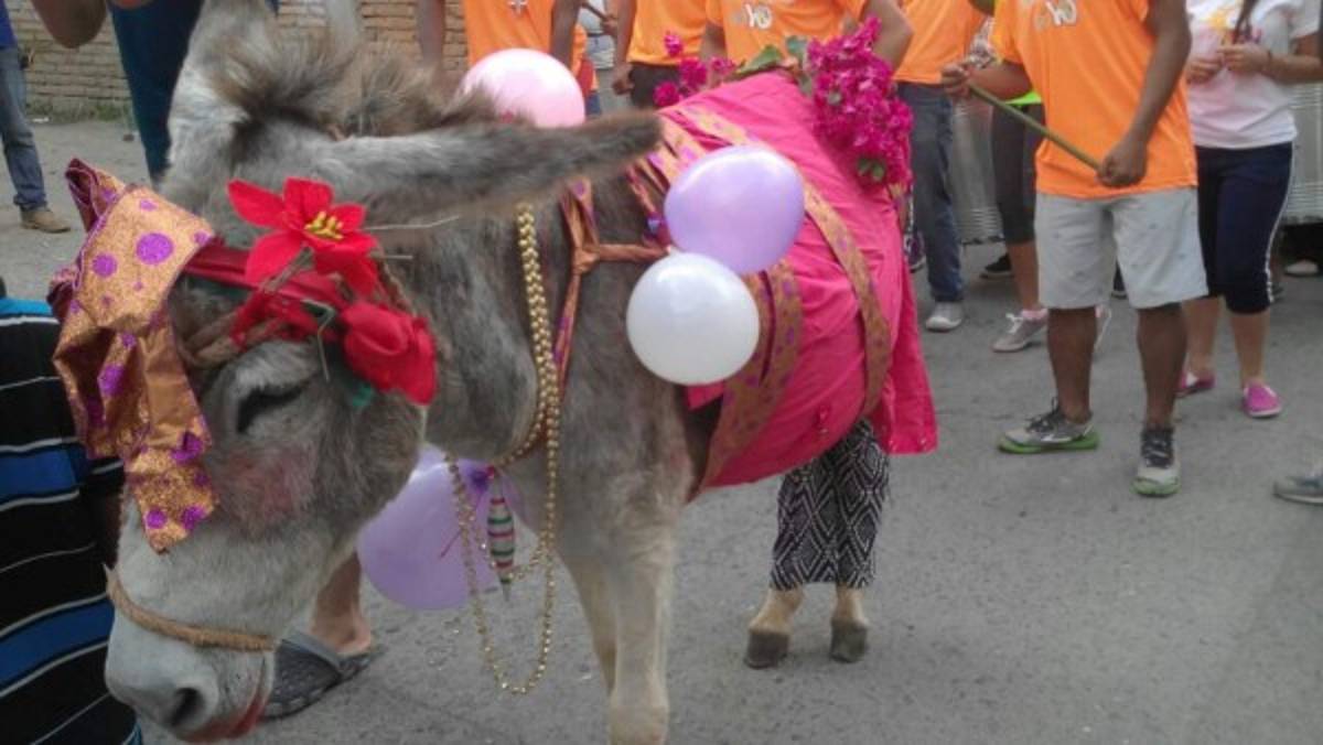 Honduras: La caravana de las tradiciones recorre Comayagua