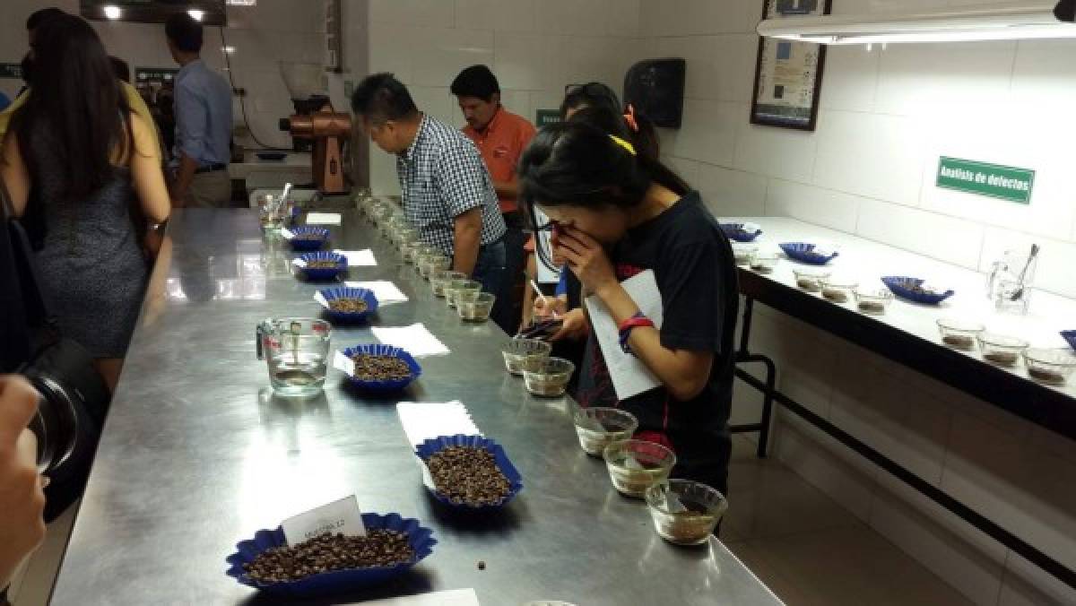 Empresarios de Taiwán quieren invertir en café hondureño