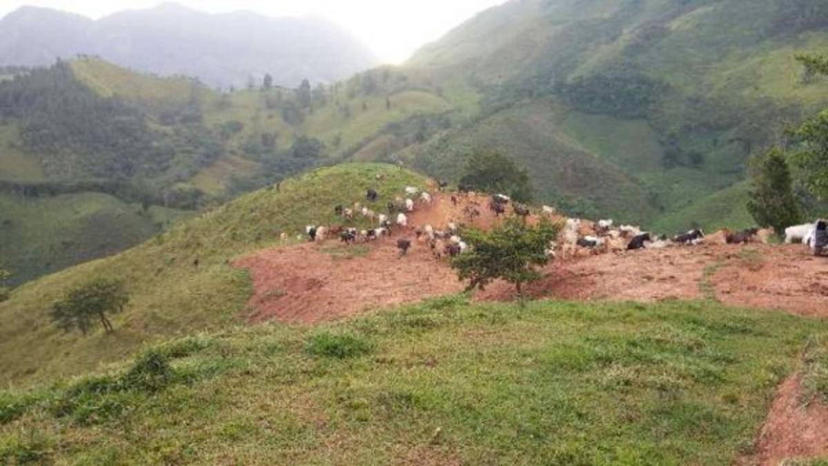 Hallan presunto detalle de pagos a policías