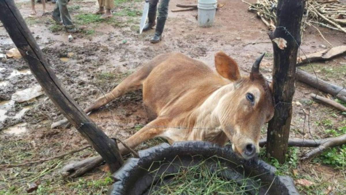 Tras tormenta varias casas peligran ser arrastradas en col. 15 de septiembre