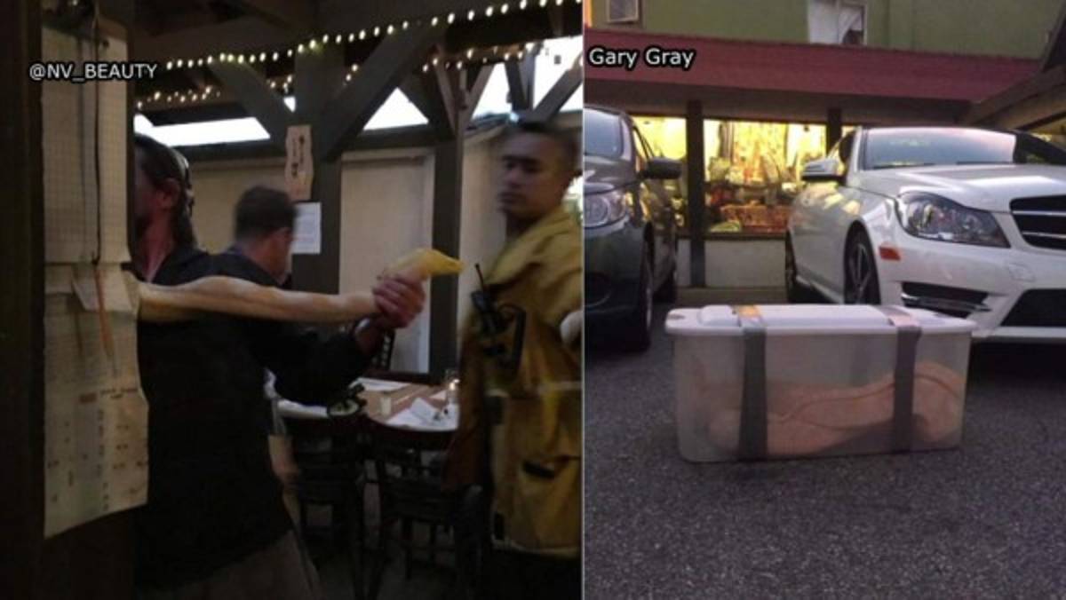 Cliente enojado deja una serpiente gigante dentro de restaurante