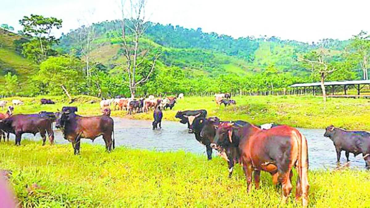 Hallan presunto detalle de pagos a policías