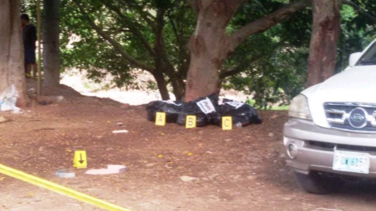En bolsas plásticas dejan cadáveres de féminas en Los Llanos