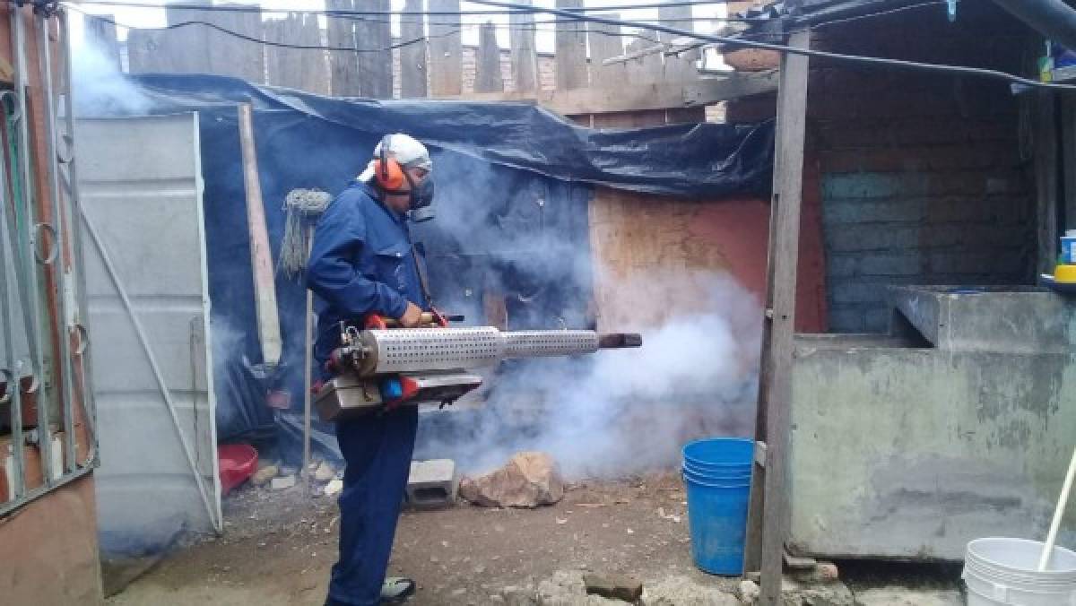 Salud se prepara para nuevo brote de dengue en el DC