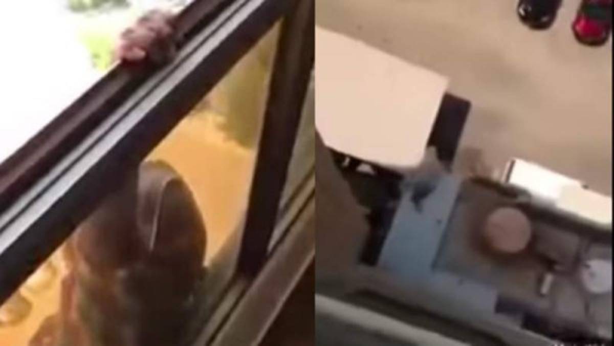 La mujer estaba golgada con una mano de la ventana, pero segundos después se soltó.
