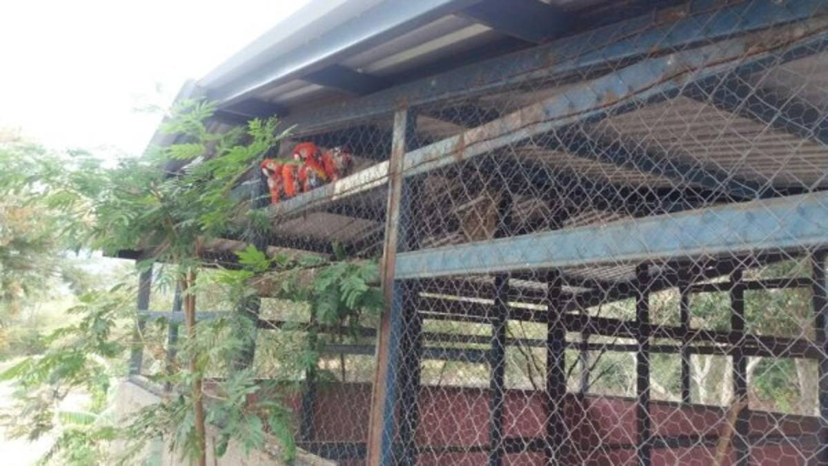 Decomisan arsenal e indumentaria militar a cuatro personas detenidas en Ajuterique