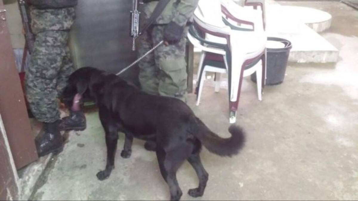 Honduras: Hallan arma 'matapolicías' y drogas en Centro Penal de San Pedro Sula