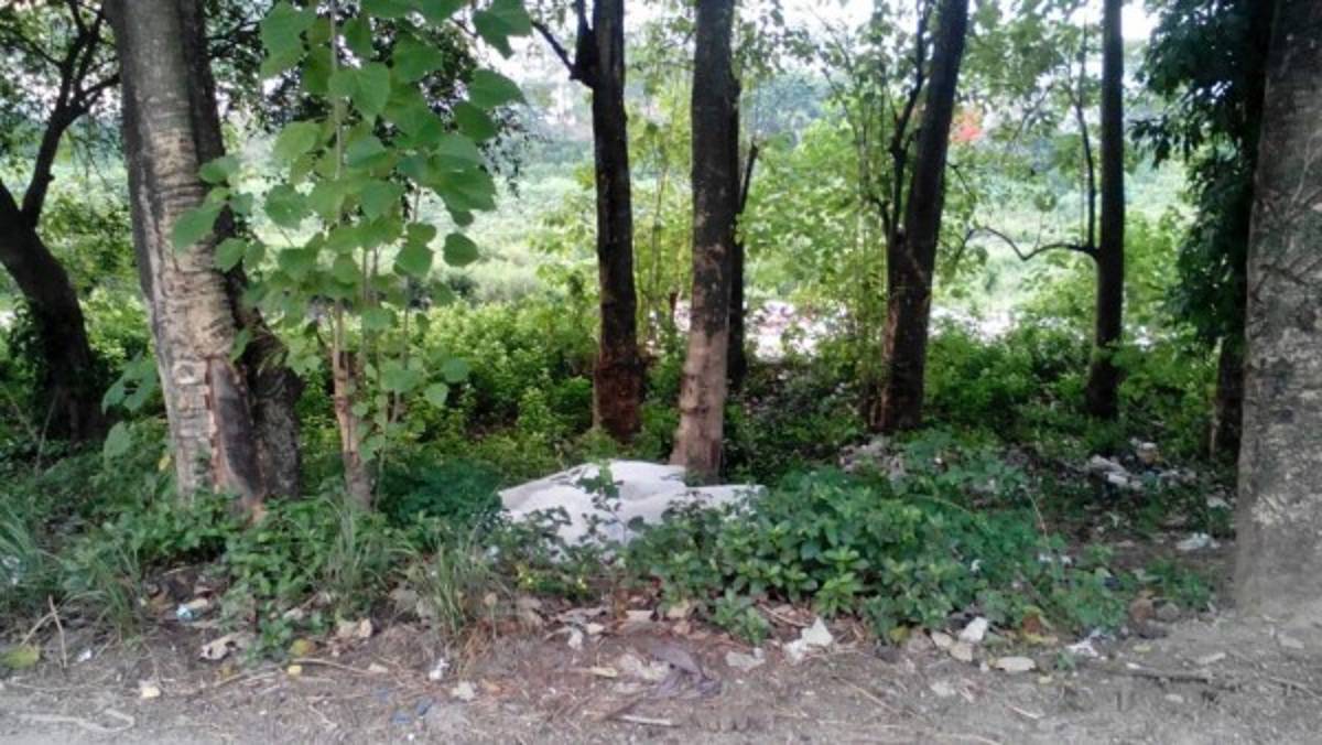 Honduras: Al menos diez muertos en menos de 48 horas en San Pedro Sula