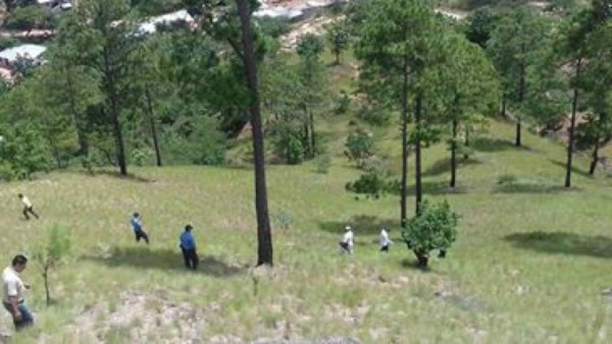 Honduras: Encuentran la cabeza del hombre decapitado y desmembrado en Los Pinos