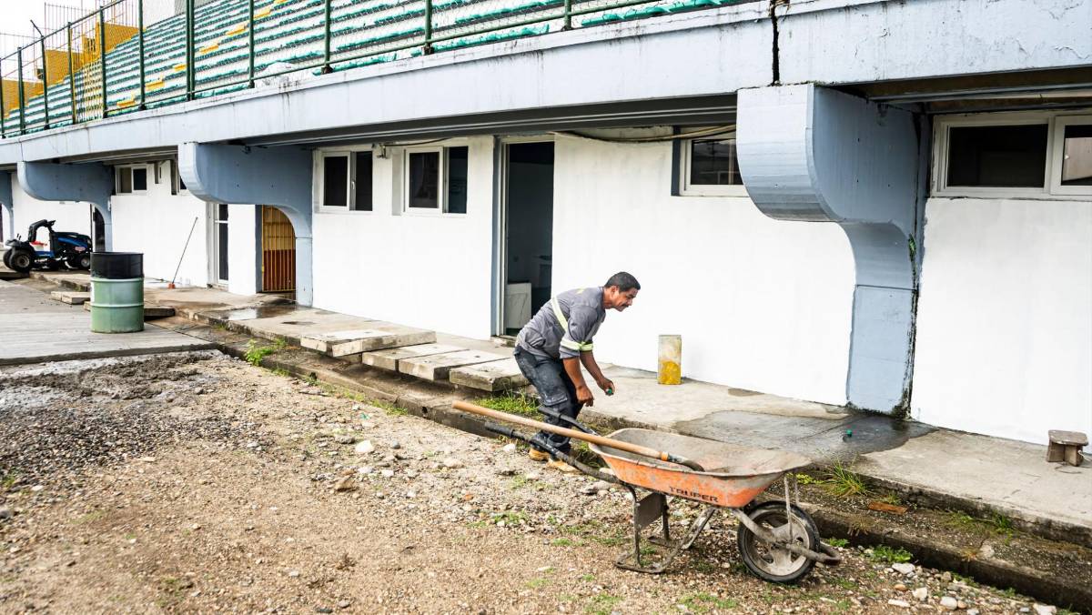 Tecnología de punta y grama de primer nivel: Así luce el renovado estadio Excélsior