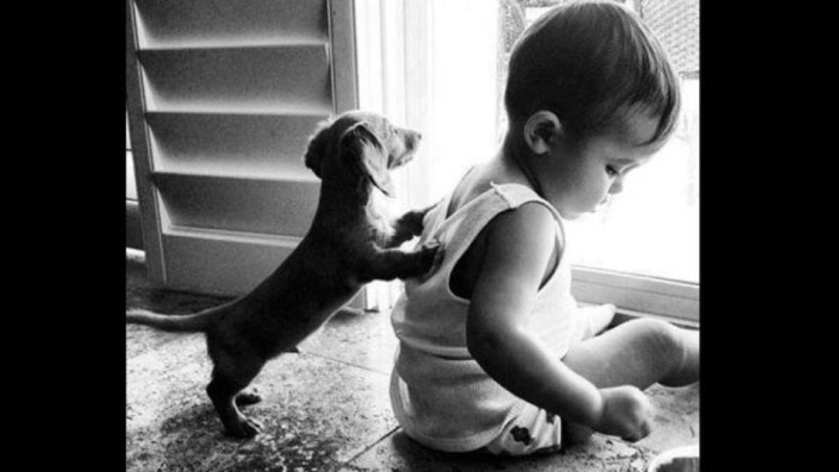 Es hora de reir sin parar