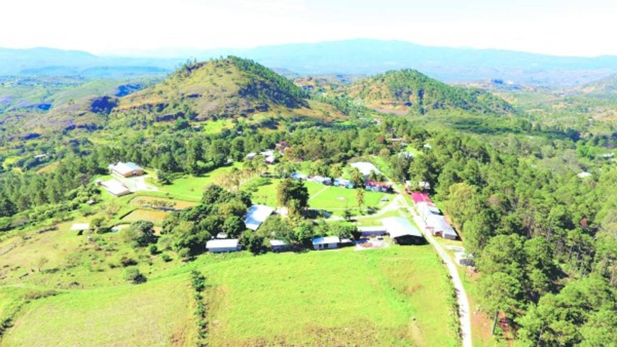 Mario Fumero: 'Haz con otros lo que quieres que hagan contigo”