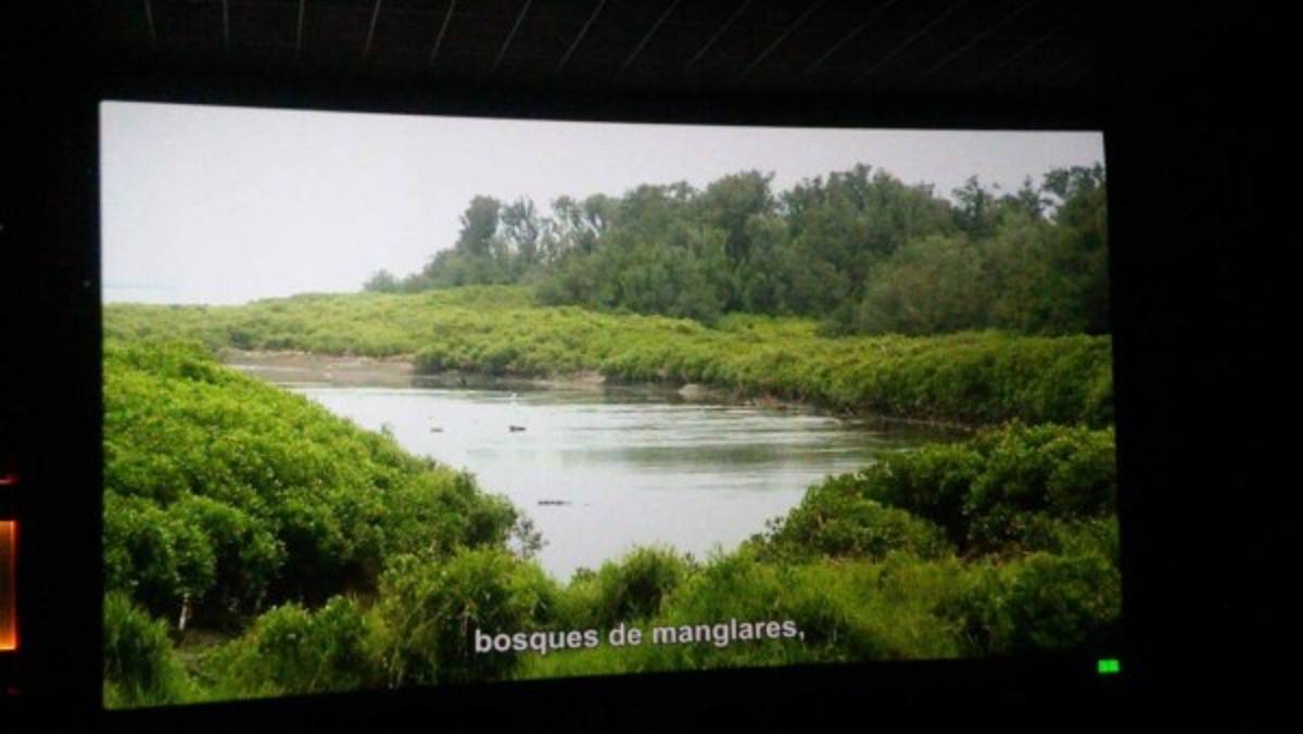 Honduras: Taiwán deleitó con la presentación de cuatro cortometrejes