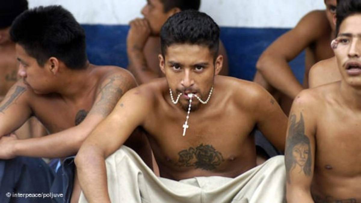 Pandilleros arrestados en El Salvador por asesinato y matadero de equinos