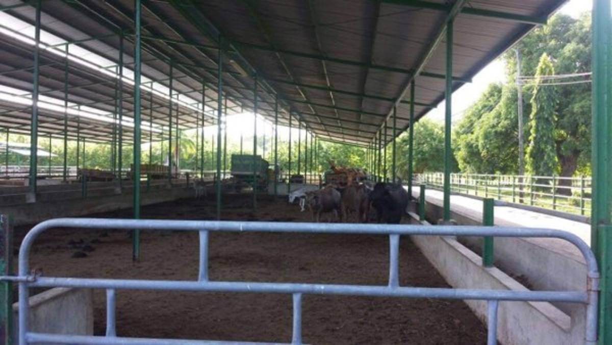 Operación Orca: Aseguran bienes a narco hondureño condenado en EE UU