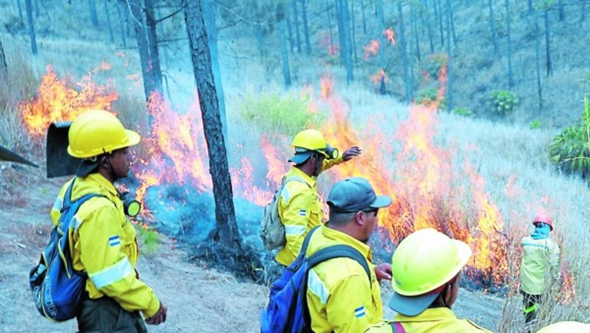 Cuatro incendios acechan la capital de Honduras