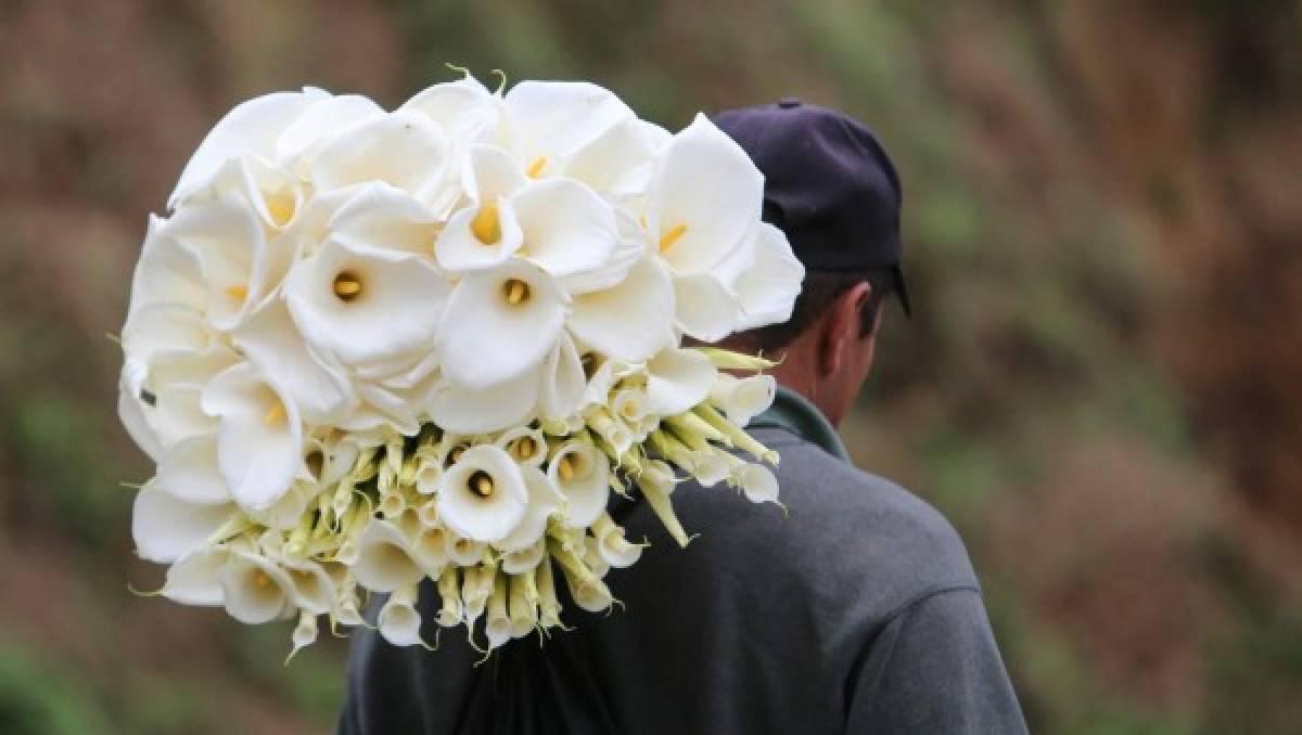 Jutiapa, lugar donde las flores huelen a progreso