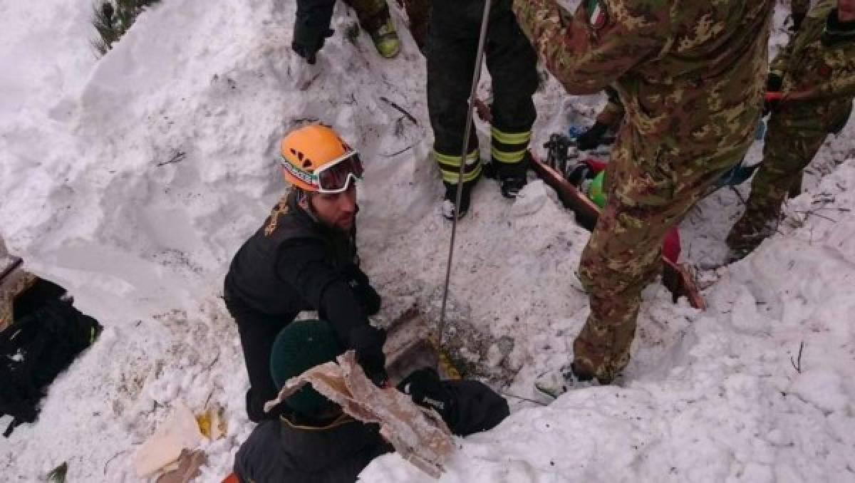 Rescatan a tres cachorros en el hotel devastado por una avalancha en Italia   