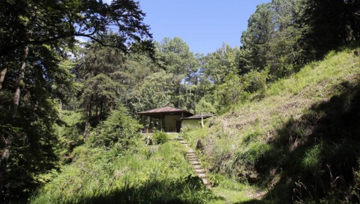 Mediante decreto buscan generar recursos para La Tigra