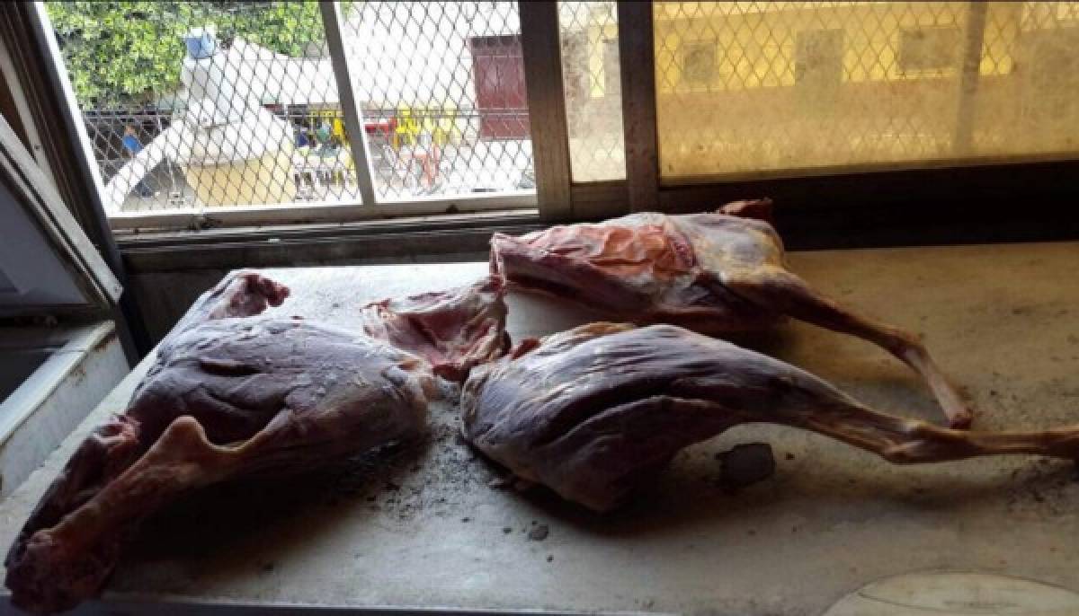 Fiscalía confirma hallazgo de carne de perro en restaurante chino en la capital de Honduras