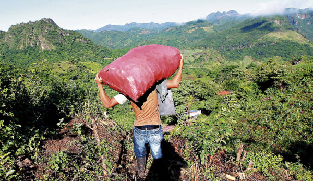 Honduras pide asistencia a FAO y PMA para enfrentar hambruna