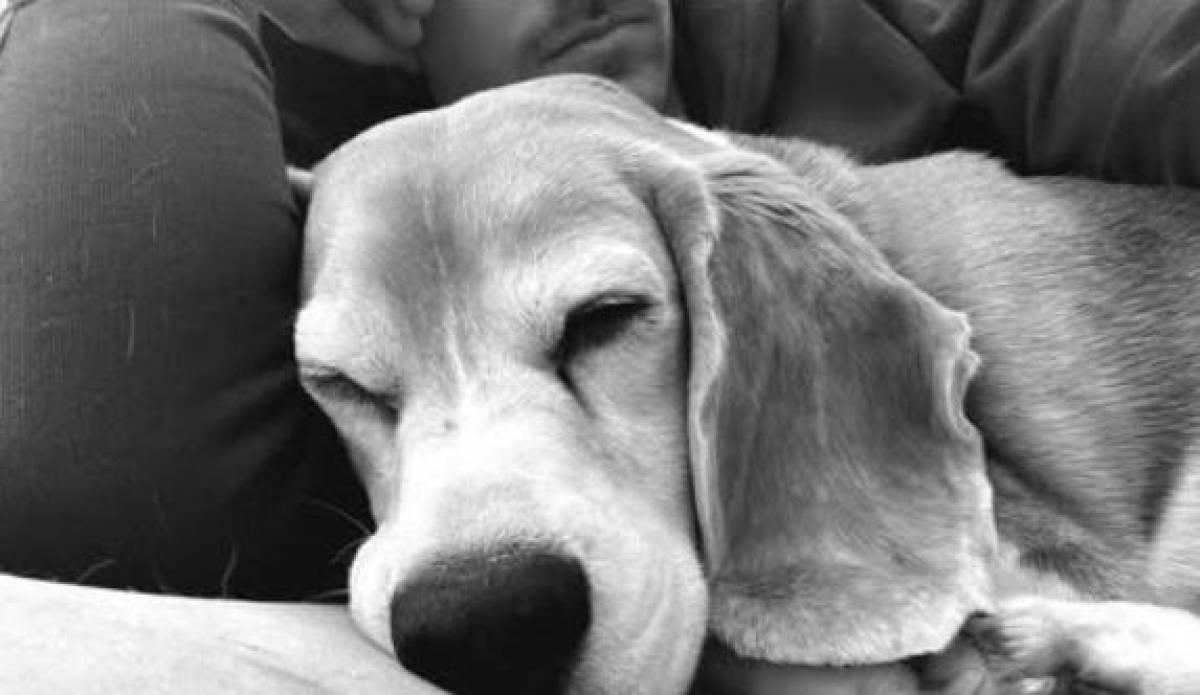 Famoso futbolista salió huyendo de México y revela el insólito motivo de su inesperada decisión