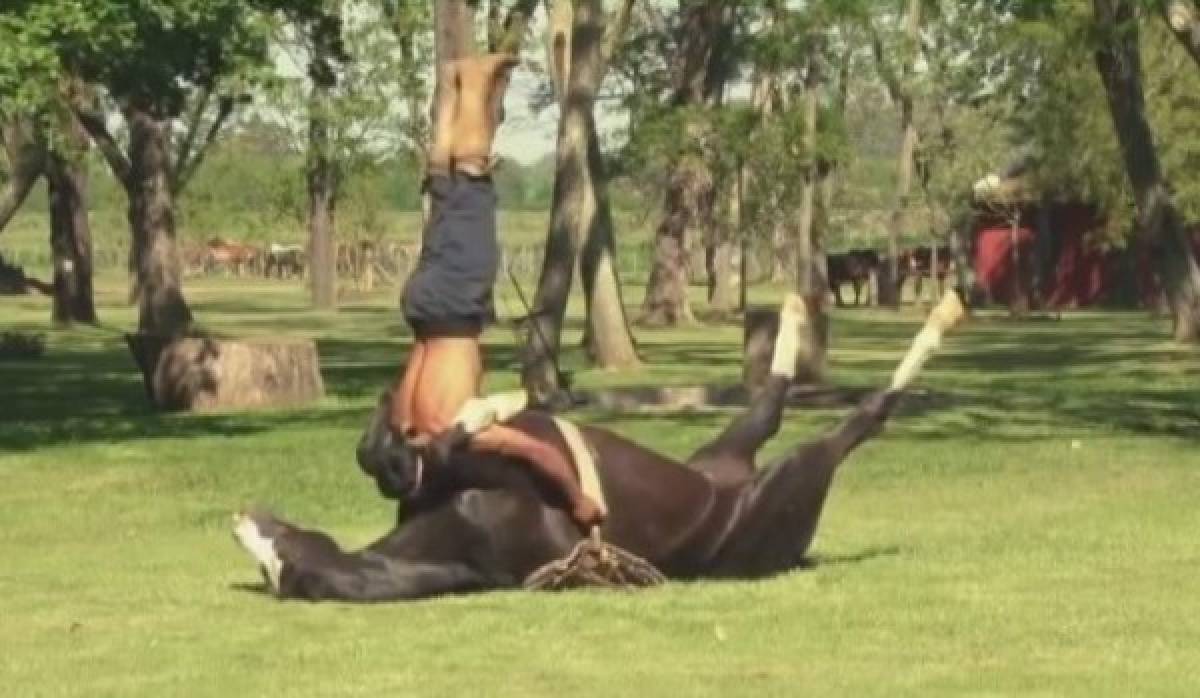 En Argentina doman caballos con yoga
