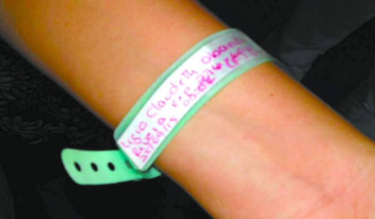 Ansiaban llegada de una princesita