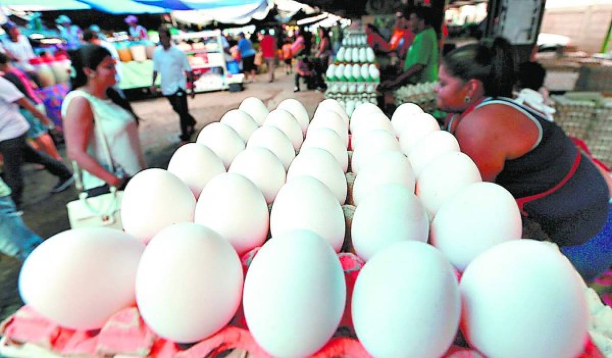 Congelarían el precio de los huevos y otra vez el de los combustibles en Honduras
