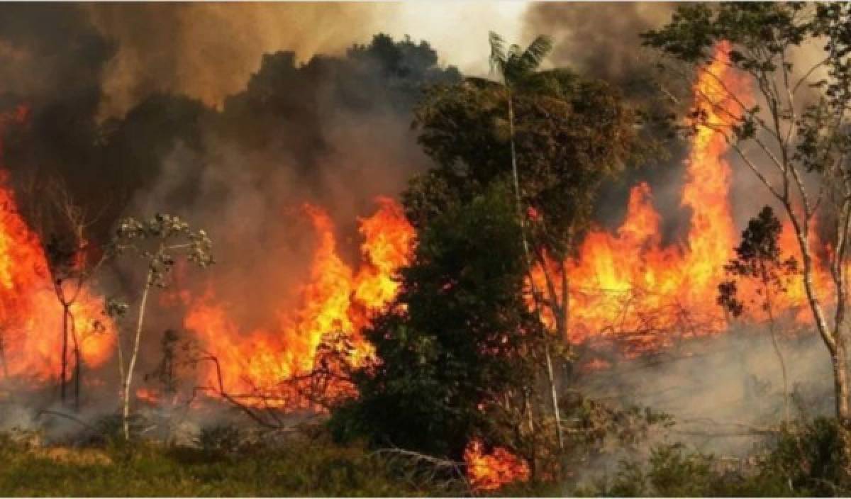 Presidente de Francia dice que los incendios en Amazonía son 'una crisis internacional'