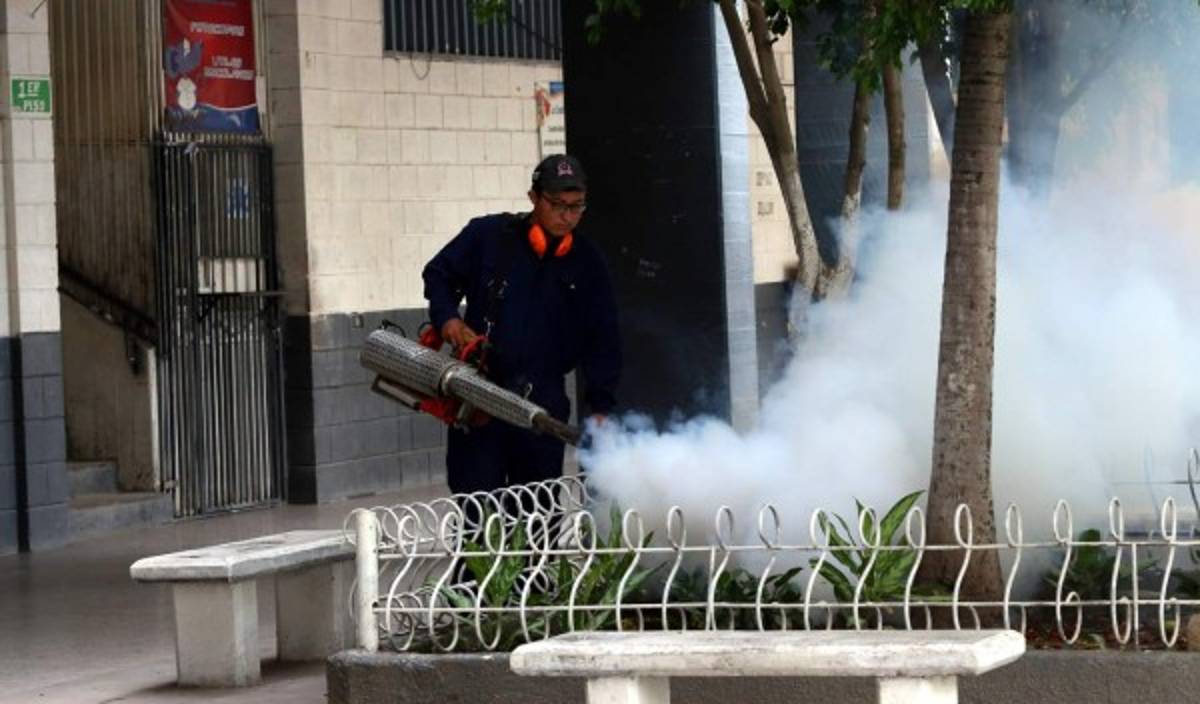Intensifican acciones contra el mosquito Aedes aegypti
