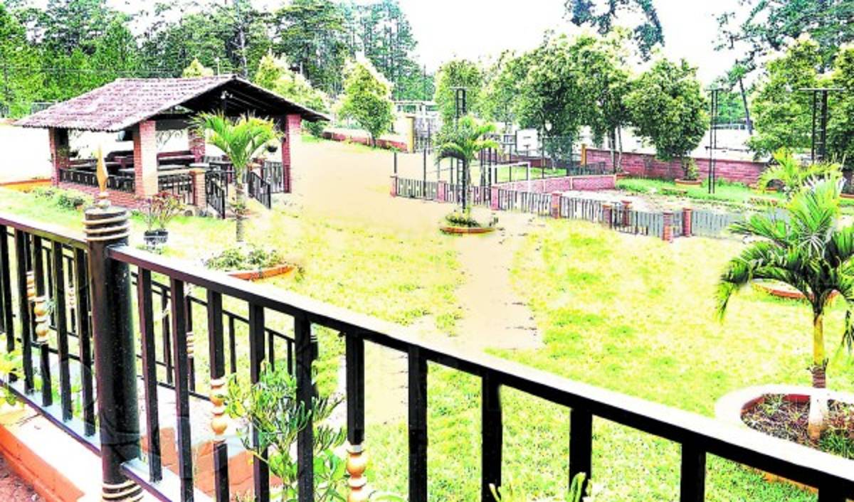 Esposos acumularon 100 millones de lempiras con fraude al IHSS