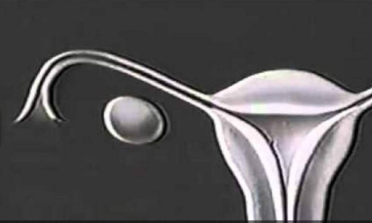 La menstruación contada por Disney