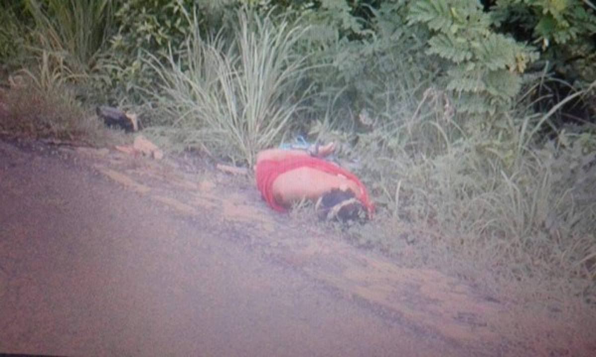 Violencia deja cinco muertos este viernes en Honduras