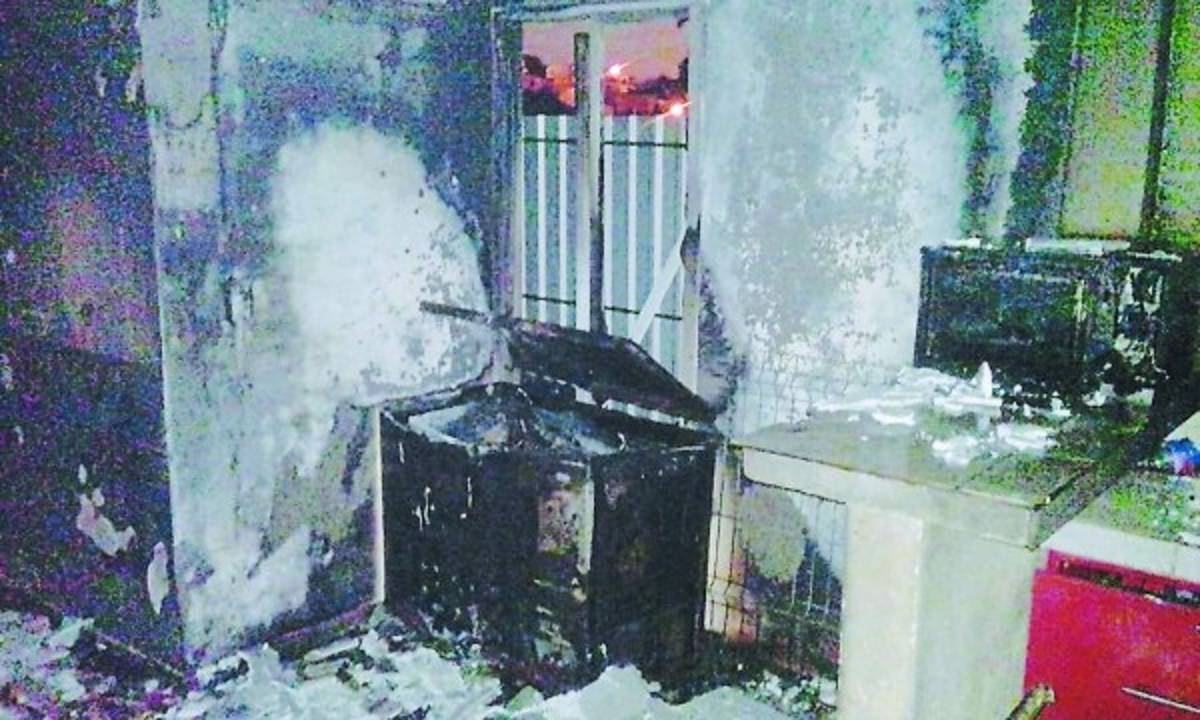 Mujer y sus 12 perros mueren en voraz incendio en la capital