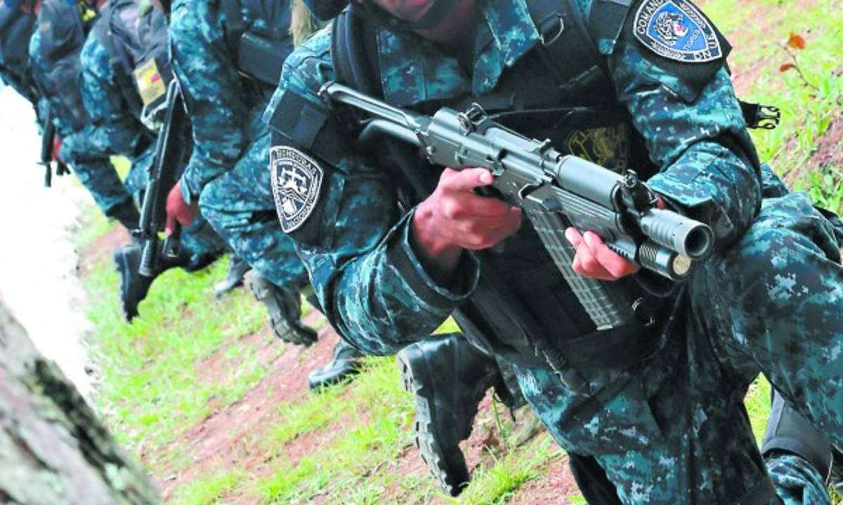 Separan a primeros TIGRES por hurto