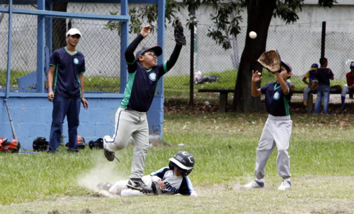 Delfines vapulea a Palmeras