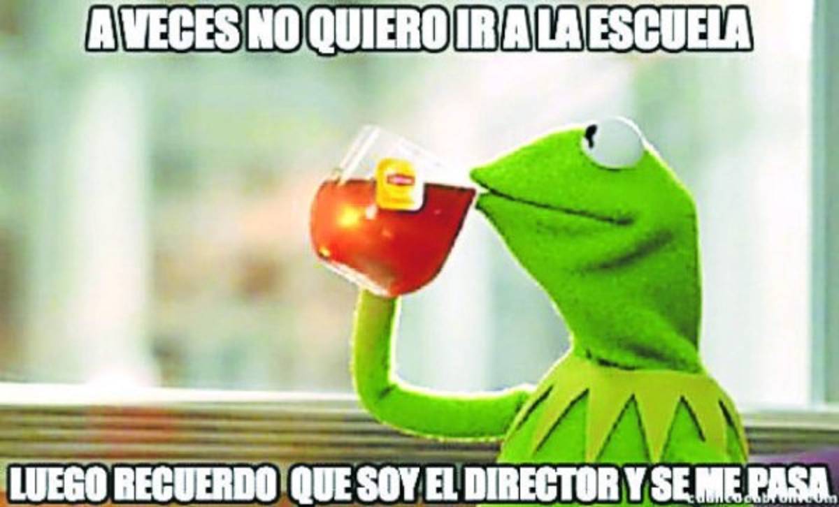 Acá están los mejores chistes de la semana