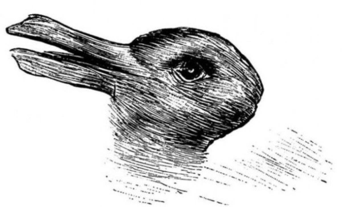 ¿Ves un conejo o un pato? La respuesta dice mucho de tu personalidad