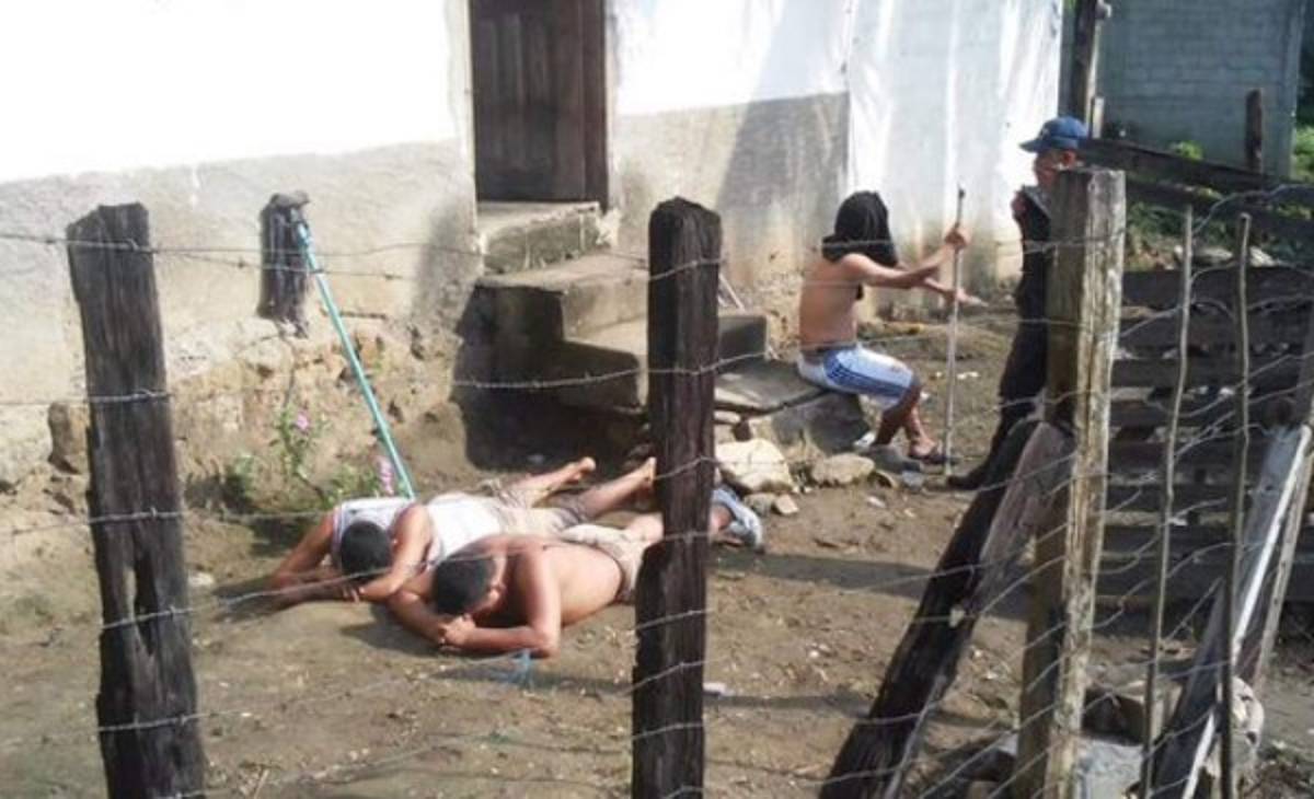 Capturan miembros de banda 'Los roba perros'