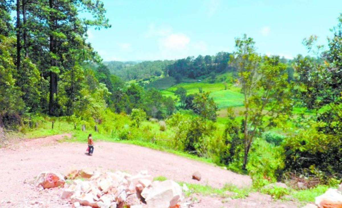 Yerba Buena, un monumento de la creación
