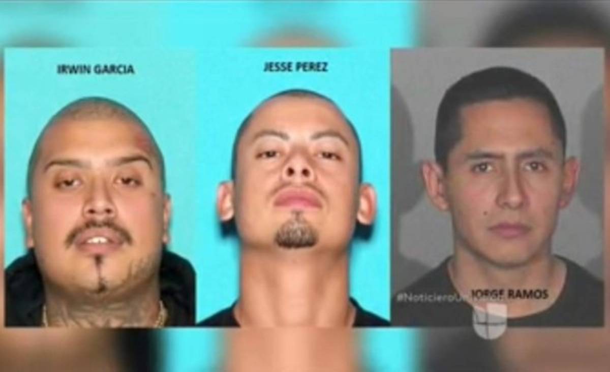 FBI utilizará las redes sociales para capturar a tres peligrosos pandilleros de MS-13