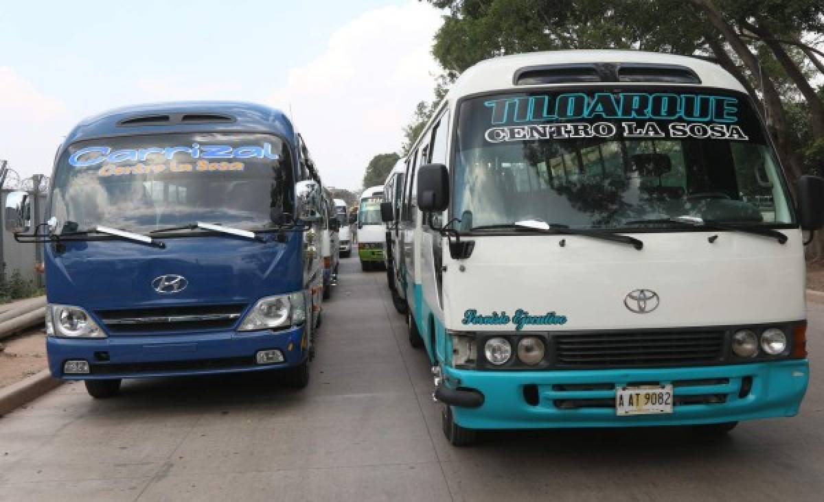 En tres meses llegarán 60 nuevos buses a la capital de Honduras