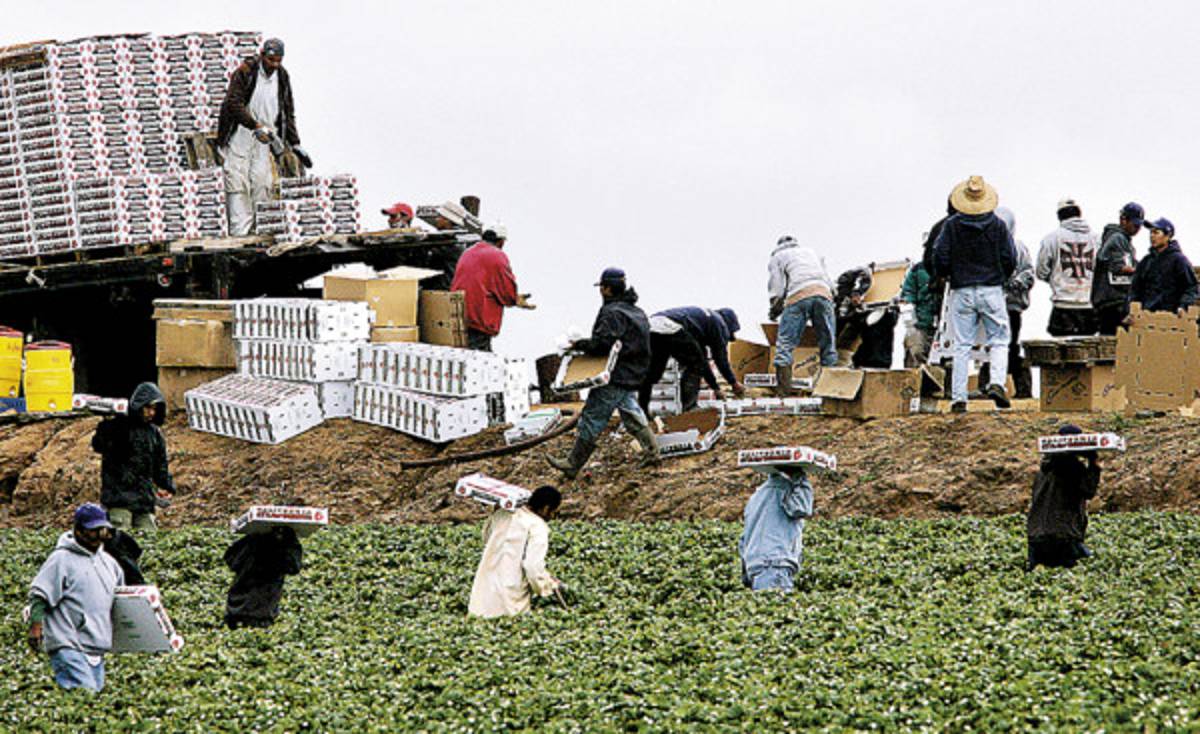 Inmigrantes hondureños tienen derechos laborales