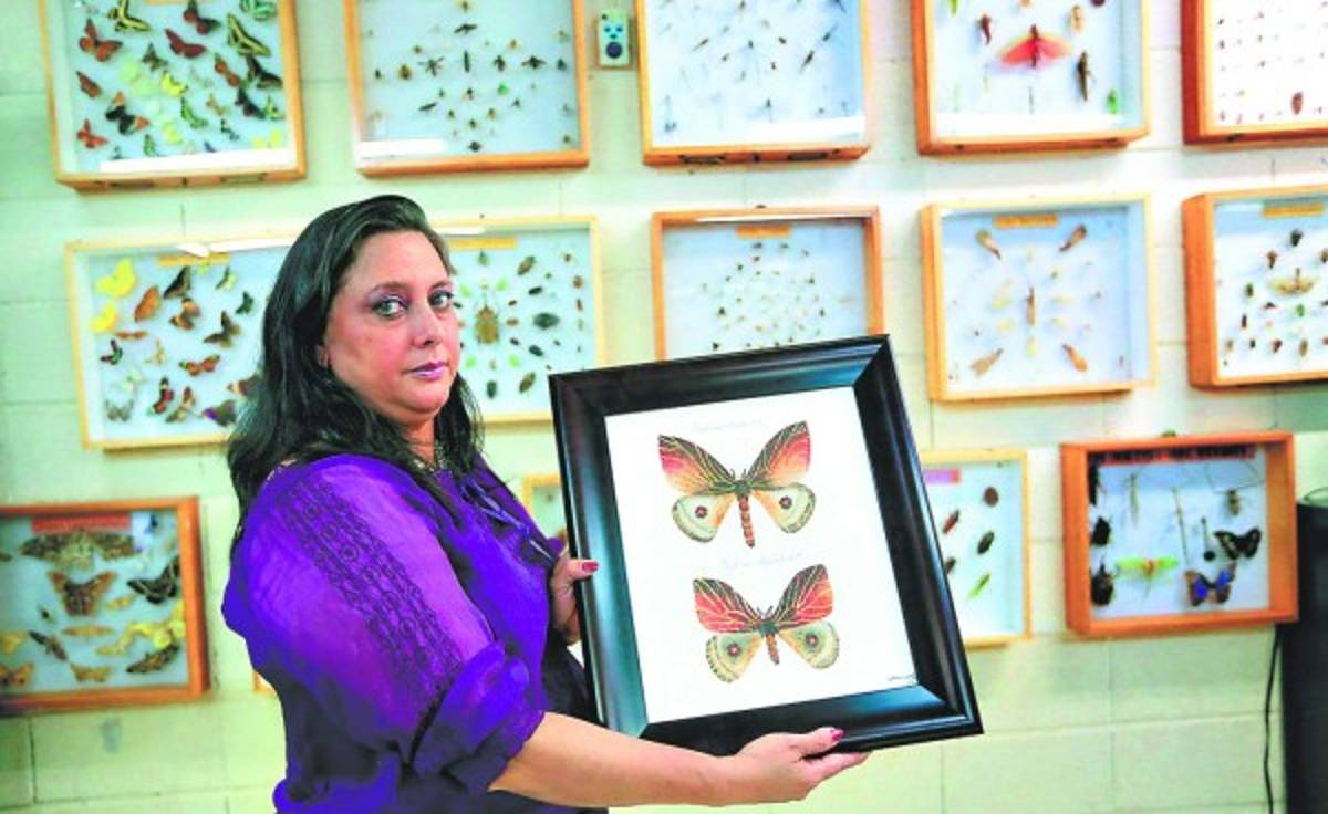 Honduras: Honran a hijo de la rectora con especie única de mariposa