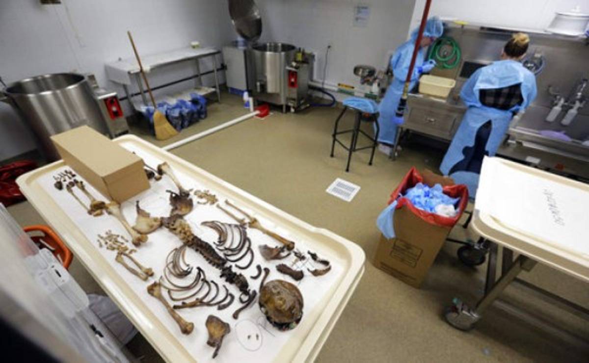 Triste realidad de migrantes que mueren en la frontera entre México y Estados Unidos