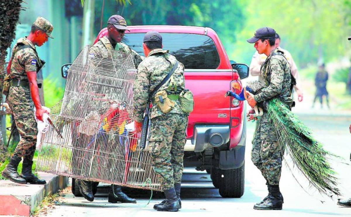 Honduras: Al menos 378 bienes confiscados al narcotráfico