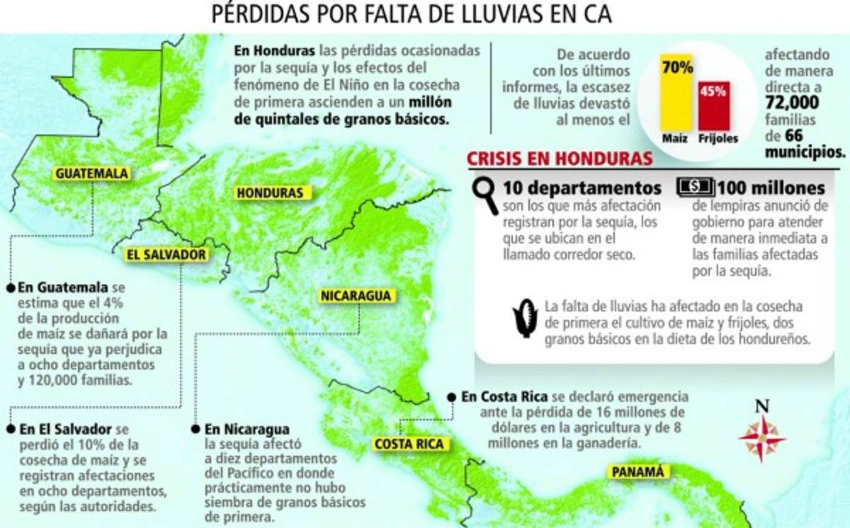 Pérdidas por sequía ascienden a un millón de quintales de granos